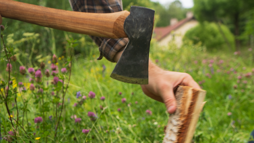 Vilken ved ska man använda till sin bastu?